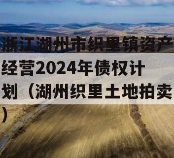 浙江湖州市织里镇资产经营2024年债权计划（湖州织里土地拍卖）