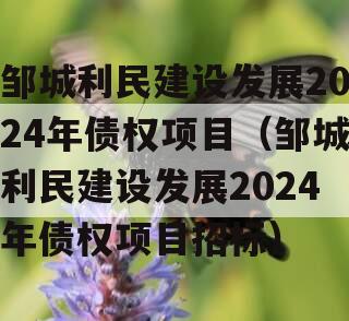 邹城利民建设发展2024年债权项目（邹城利民建设发展2024年债权项目招标）