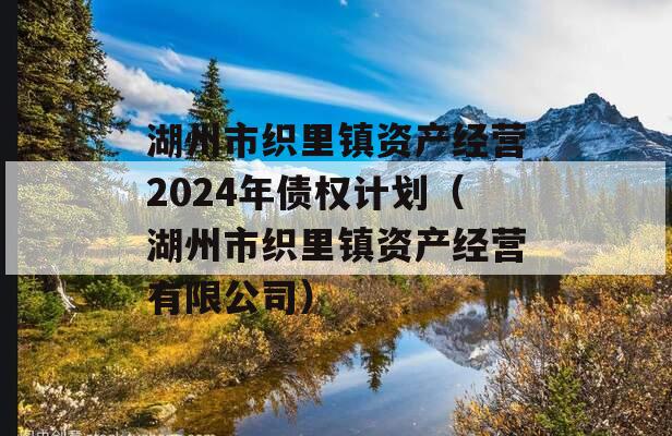 湖州市织里镇资产经营2024年债权计划（湖州市织里镇资产经营有限公司）