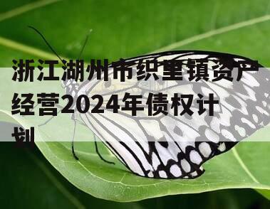 浙江湖州市织里镇资产经营2024年债权计划