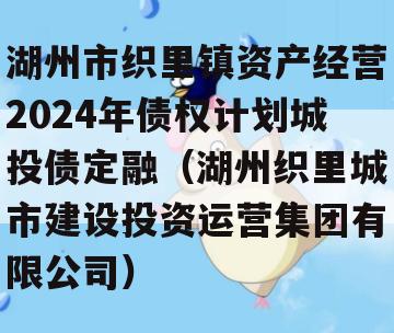 湖州市织里镇资产经营2024年债权计划城投债定融（湖州织里城市建设投资运营集团有限公司）