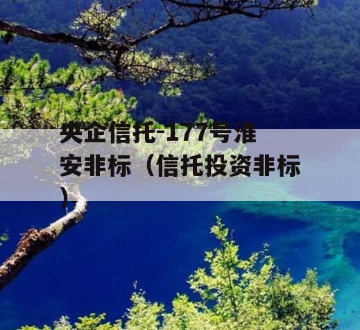 央企信托-177号淮安非标（信托投资非标）