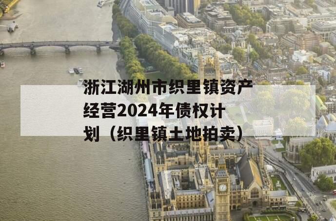 浙江湖州市织里镇资产经营2024年债权计划（织里镇土地拍卖）