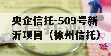 央企信托-509号新沂项目（徐州信托）