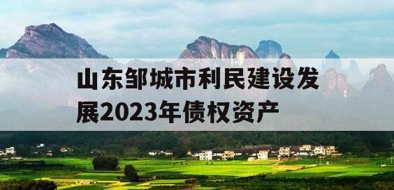 山东邹城市利民建设发展2023年债权资产