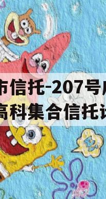 上市信托-207号咸阳高科集合信托计划