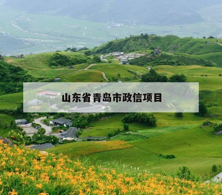 山东省青岛市政信项目