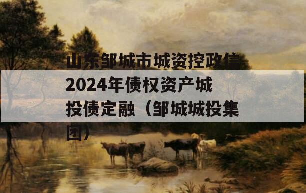 山东邹城市城资控政信2024年债权资产城投债定融（邹城城投集团）