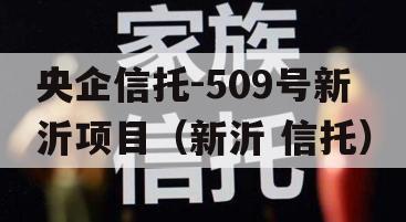 央企信托-509号新沂项目（新沂 信托）