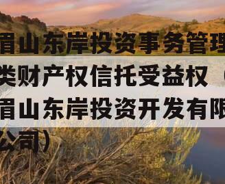 眉山东岸投资事务管理类财产权信托受益权（眉山东岸投资开发有限公司）