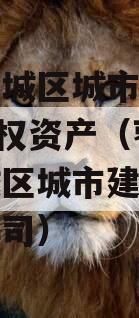 枣庄薛城区城市建设2023债权资产（枣庄市薛城区城市建设综合开发公司）