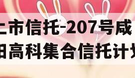 上市信托-207号咸阳高科集合信托计划