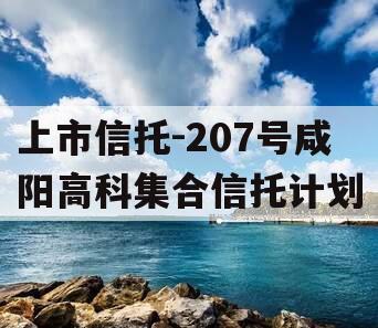 上市信托-207号咸阳高科集合信托计划