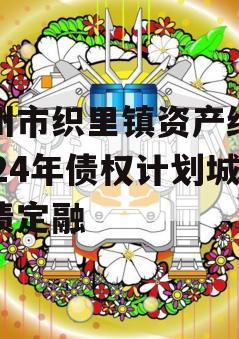 湖州市织里镇资产经营2024年债权计划城投债定融