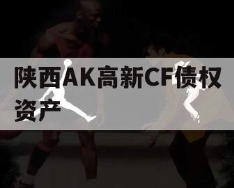 陕西AK高新CF债权资产