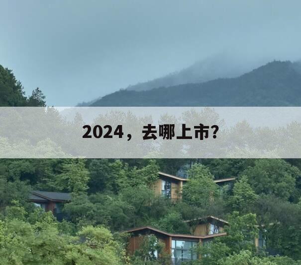 2024，去哪上市？