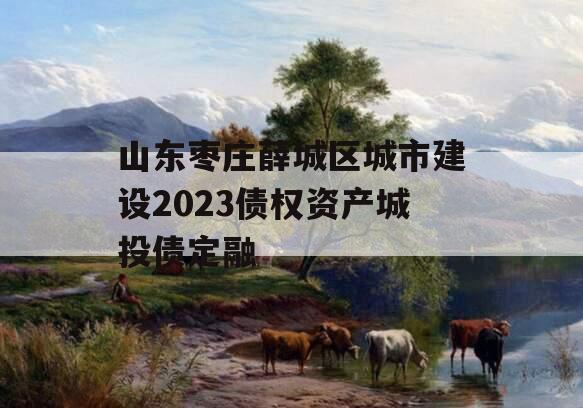 山东枣庄薛城区城市建设2023债权资产城投债定融