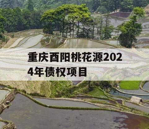 重庆酉阳桃花源2024年债权项目