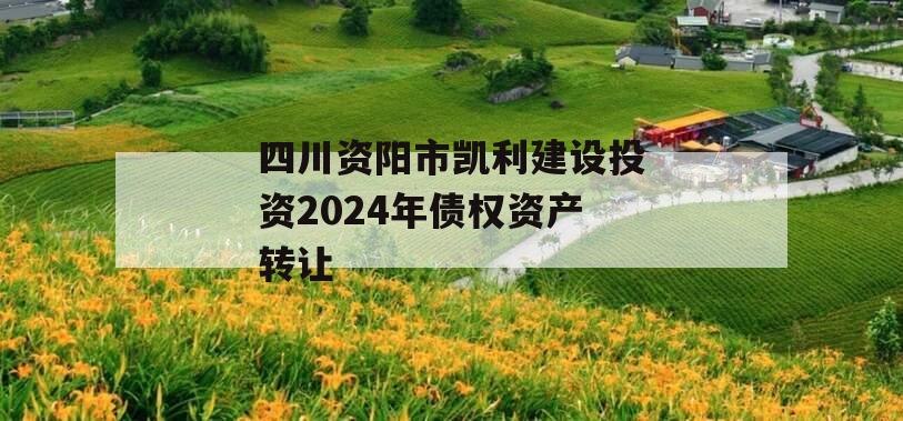 四川资阳市凯利建设投资2024年债权资产转让