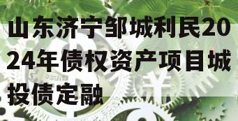 山东济宁邹城利民2024年债权资产项目城投债定融