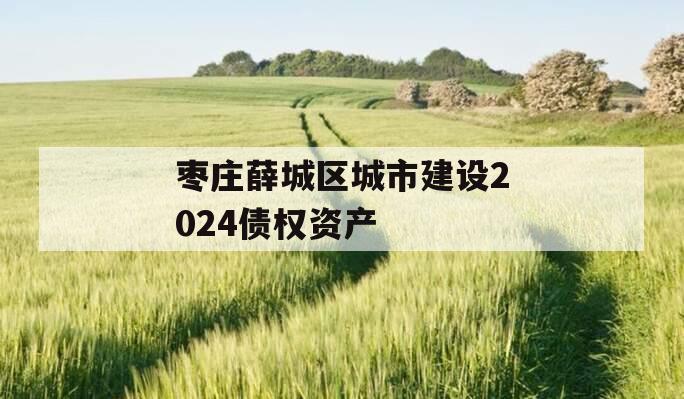 枣庄薛城区城市建设2024债权资产