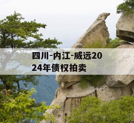 四川-内江-威远2024年债权拍卖