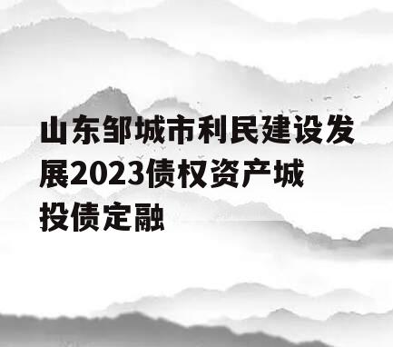 山东邹城市利民建设发展2023债权资产城投债定融