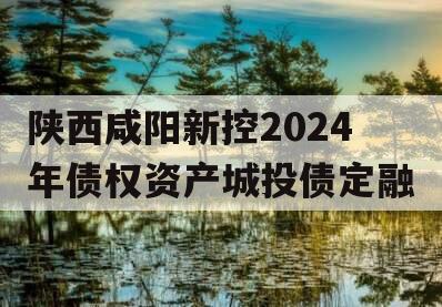 陕西咸阳新控2024年债权资产城投债定融