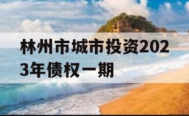 林州市城市投资2023年债权一期