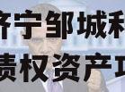 山东济宁邹城利民2024年债权资产项目