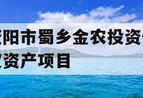 资阳市蜀乡金农投资债权资产项目