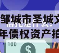 山东邹城市圣城文旅2024年债权资产拍卖