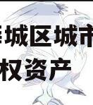 枣庄薛城区城市建设2024债权资产