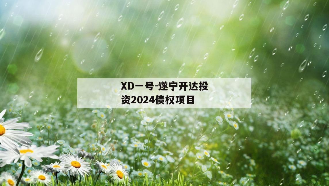 XD一号-遂宁开达投资2024债权项目