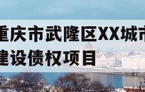 重庆市武隆区XX城市建设债权项目