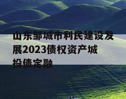 山东邹城市利民建设发展2023债权资产城投债定融