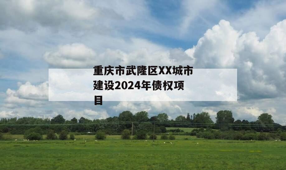 重庆市武隆区XX城市建设2024年债权项目