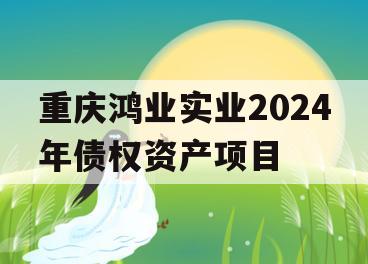 重庆鸿业实业2024年债权资产项目