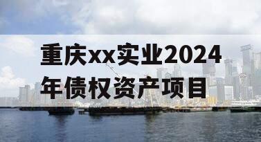 重庆xx实业2024年债权资产项目