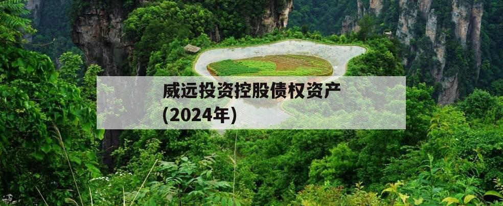 威远投资控股债权资产(2024年)