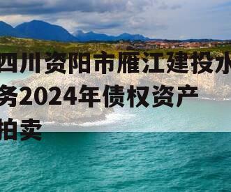 四川资阳市雁江建投水务2024年债权资产拍卖