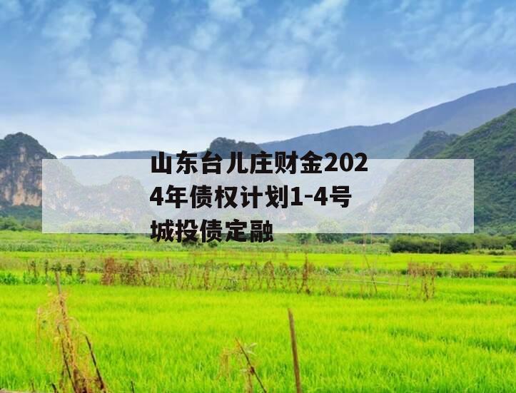 山东台儿庄财金2024年债权计划1-4号城投债定融