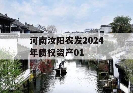 河南汝阳农发2024年债权资产01