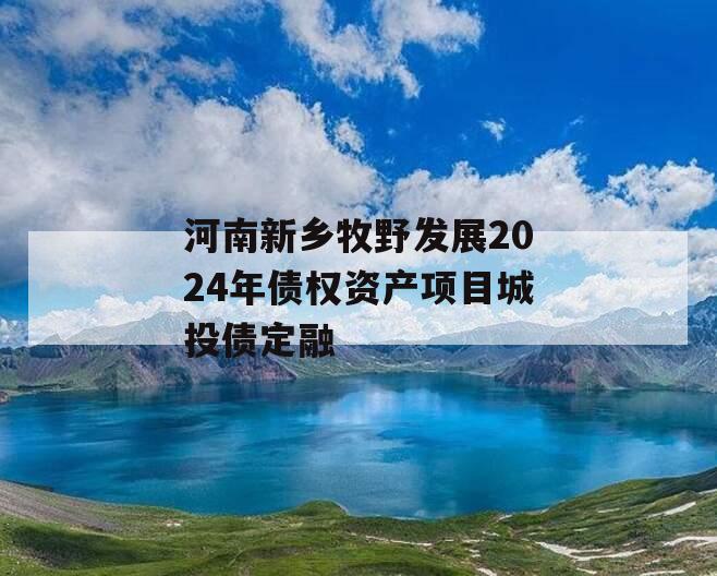 河南新乡牧野发展2024年债权资产项目城投债定融