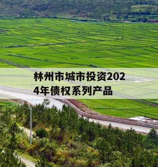 林州市城市投资2024年债权系列产品