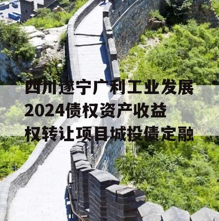 四川遂宁广利工业发展2024债权资产收益权转让项目城投债定融