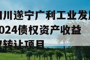 四川遂宁广利工业发展2024债权资产收益权转让项目