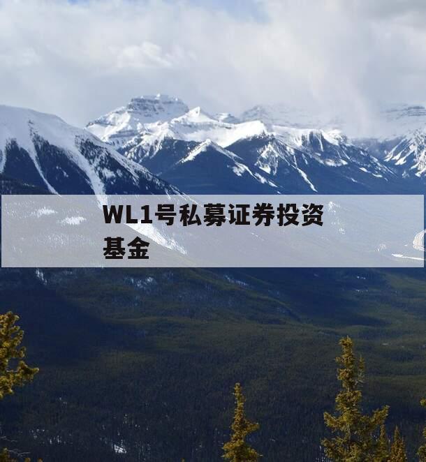 WL1号私募证券投资基金