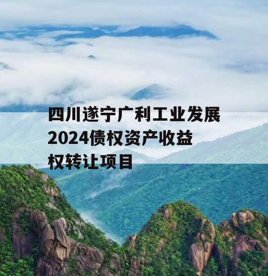 四川遂宁广利工业发展2024债权资产收益权转让项目