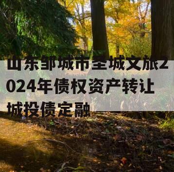 山东邹城市圣城文旅2024年债权资产转让城投债定融